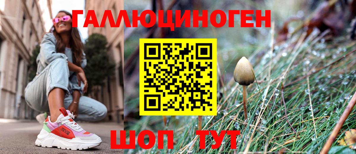 Тверь  где можно купить   Вход с VPN  Псилоцибиновые грибы Magic Shrooms 